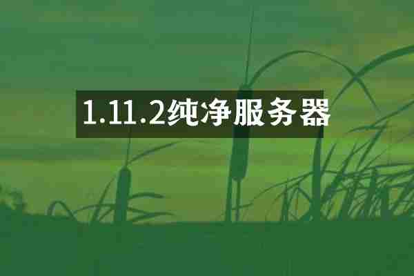 1.11.2纯净服务器