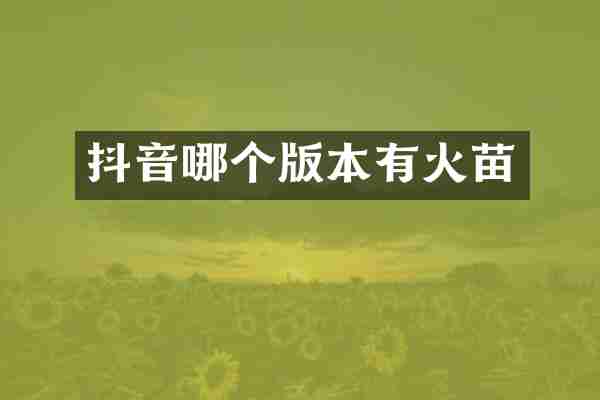 抖音哪个版本有火苗
