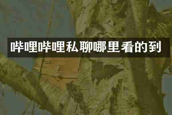 哔哩哔哩私聊哪里看的到
