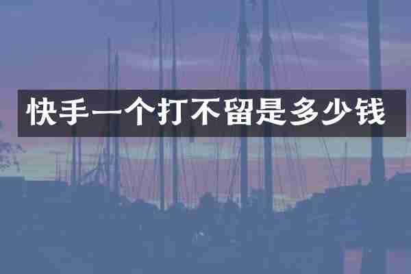 快手一个打不留是多少钱