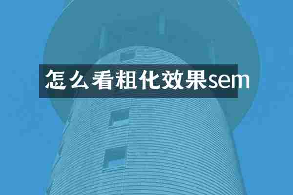 怎么看粗化效果sem