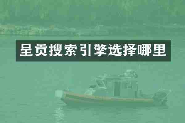 呈贡搜索引擎选择哪里