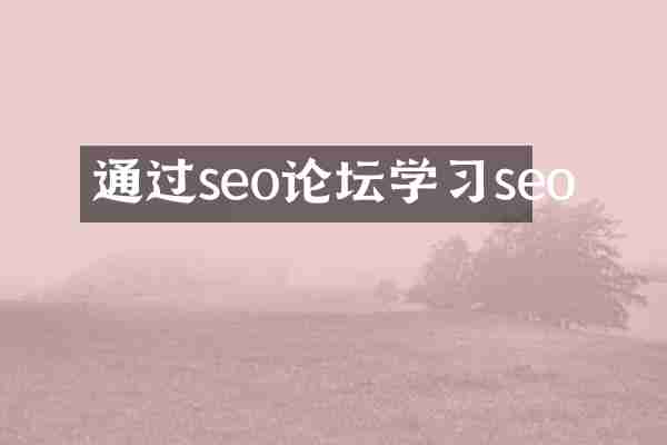 通过seo论坛学习seo