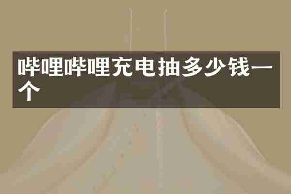哔哩哔哩充电抽多少钱一个