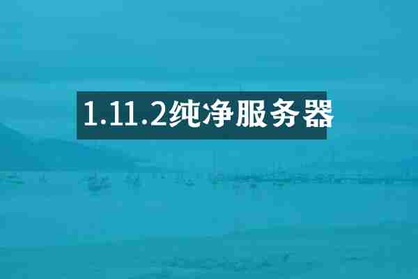 1.11.2纯净服务器