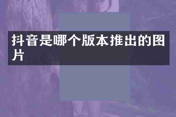 抖音是哪个版本推出的图片
