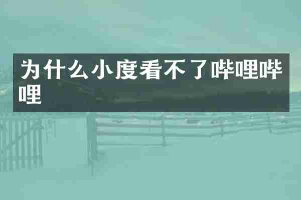 为什么小度看不了哔哩哔哩
