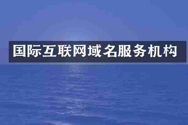 国际互联网域名服务机构