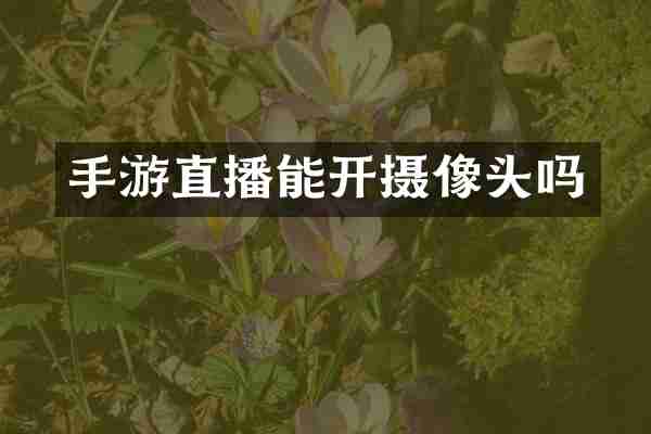 手游直播能开摄像头吗