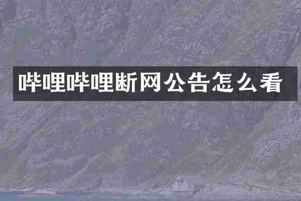 哔哩哔哩断网公告怎么看