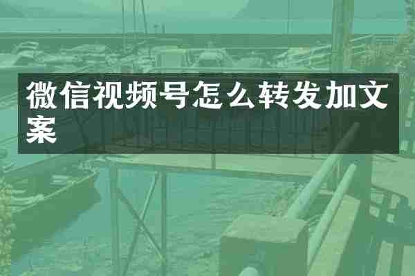 微信视频号怎么转发加文案