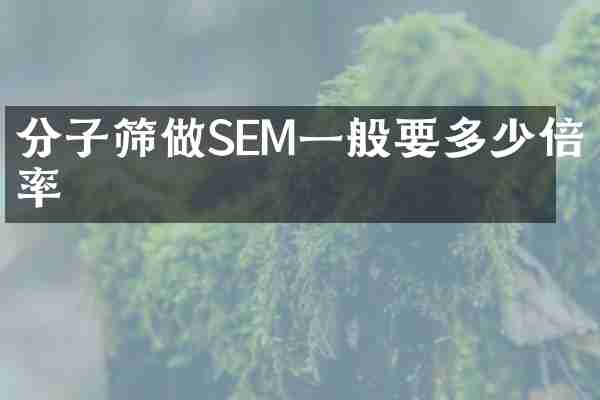分子筛做SEM一般要多少倍率