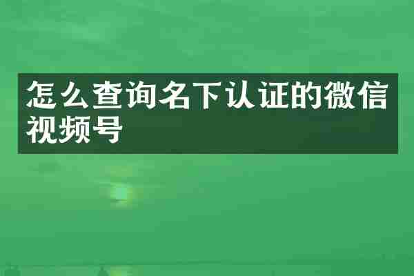 怎么查询名下认证的微信视频号