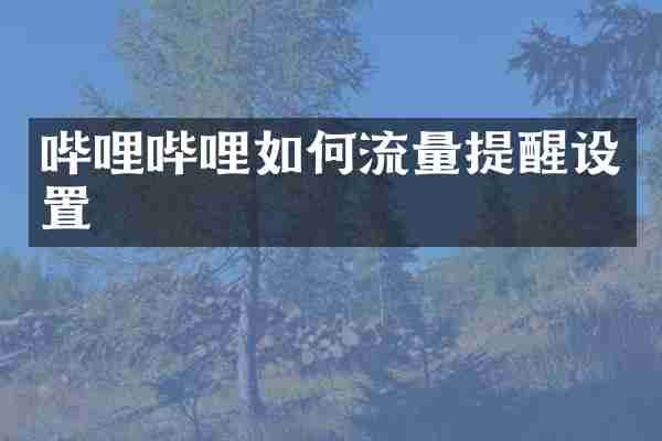 哔哩哔哩如何流量提醒设置