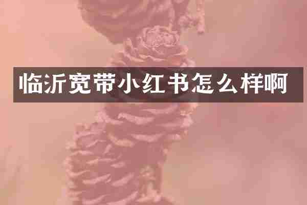 临沂宽带小红书怎么样啊