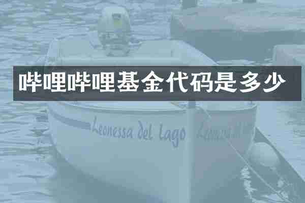 哔哩哔哩基金代码是多少