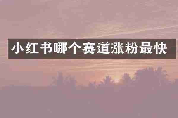 小红书哪个赛道涨粉最快
