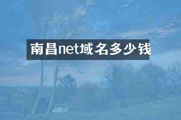 南昌net域名多少钱