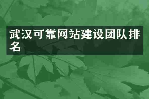 武汉可靠网站建设团队排名