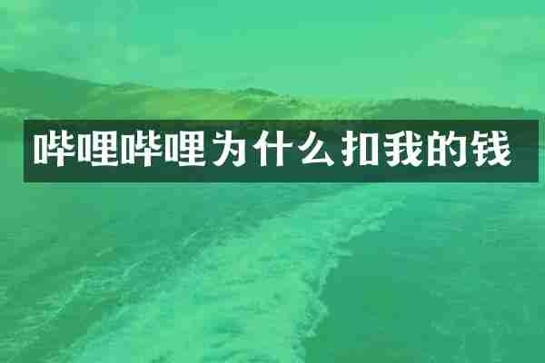 哔哩哔哩为什么扣我的钱