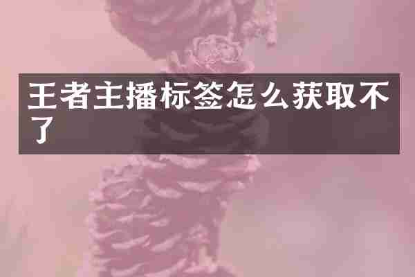 王者主播标签怎么获取不了