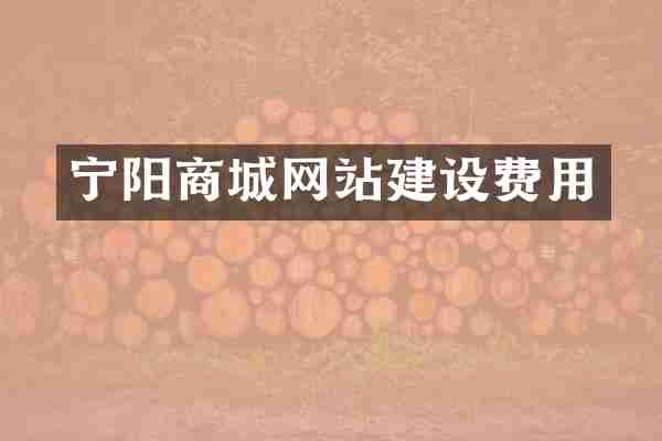 宁阳商城网站建设费用