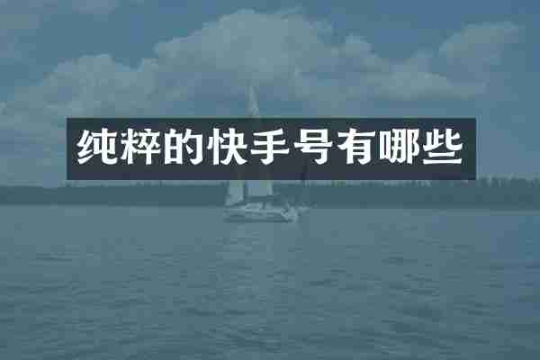 纯粹的快手号有哪些