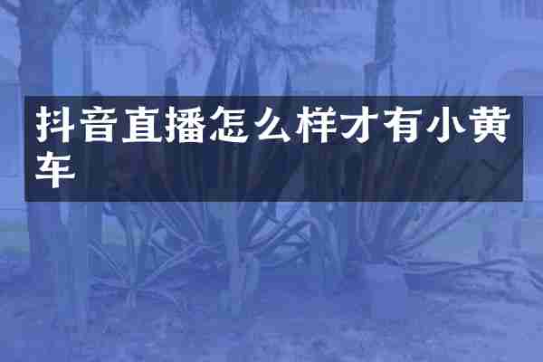 抖音直播怎么样才有小黄车