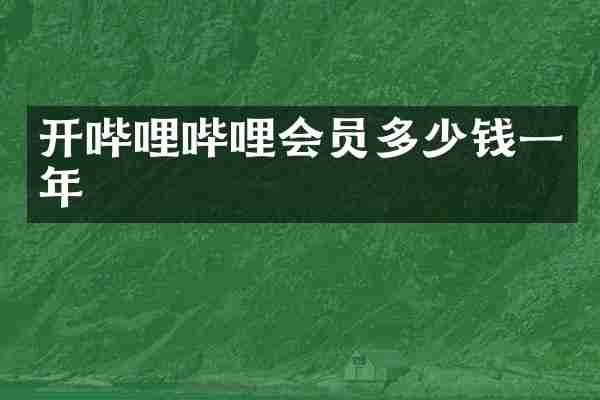 开哔哩哔哩会员多少钱一年