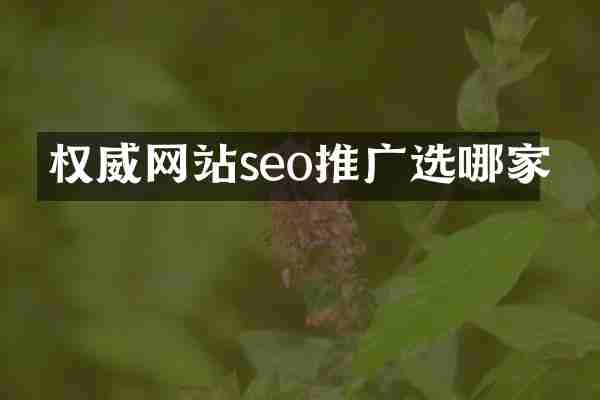 权威网站seo推广选哪家