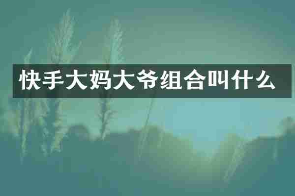 快手大妈大爷组合叫什么
