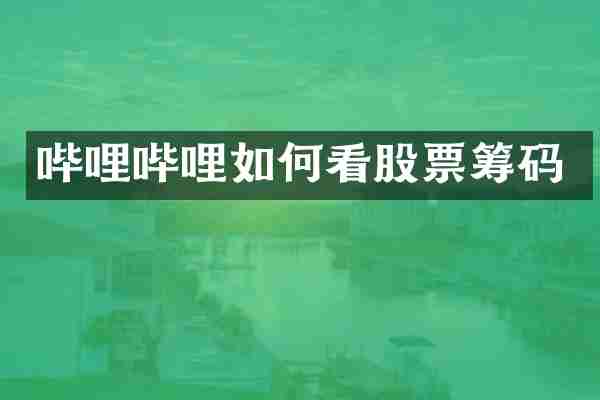 哔哩哔哩如何看股票筹码