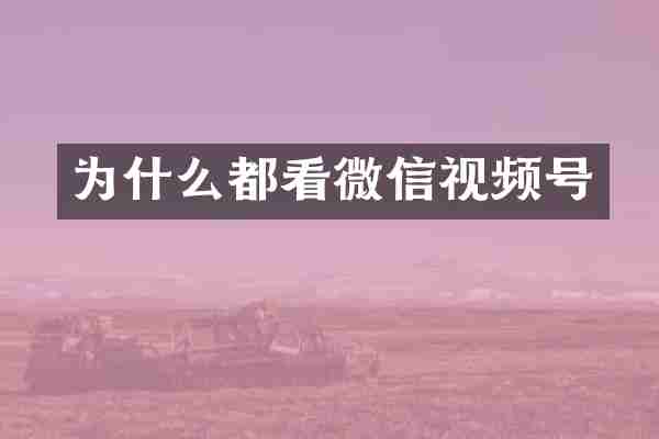 为什么都看微信视频号