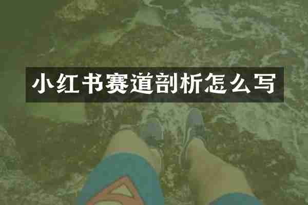 小红书赛道剖析怎么写
