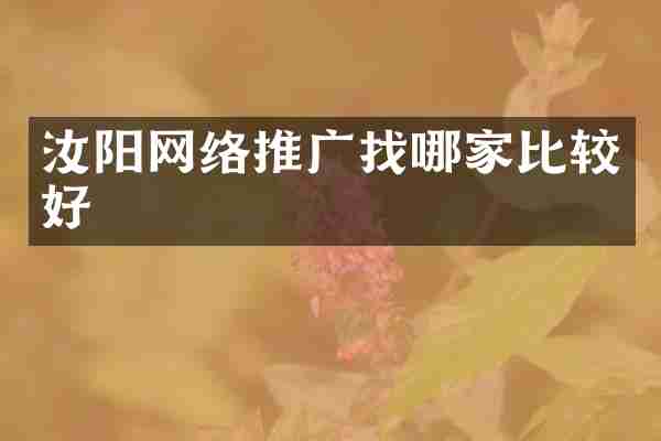 汝阳网络推广找哪家比较好