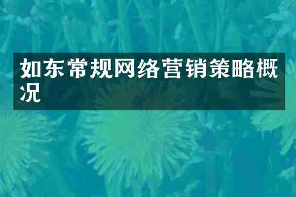 如东常规网络营销策略概况