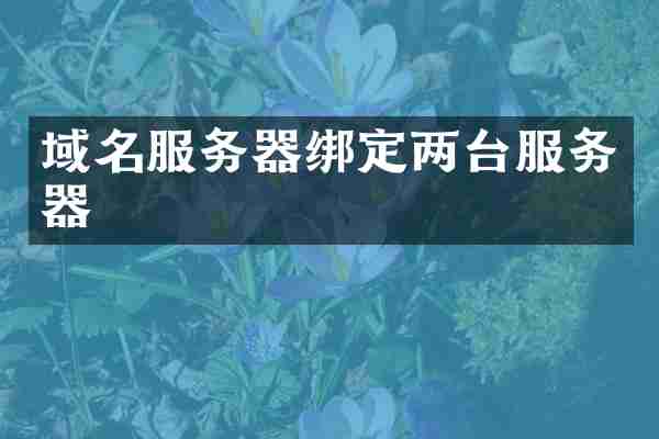 域名服务器绑定两台服务器