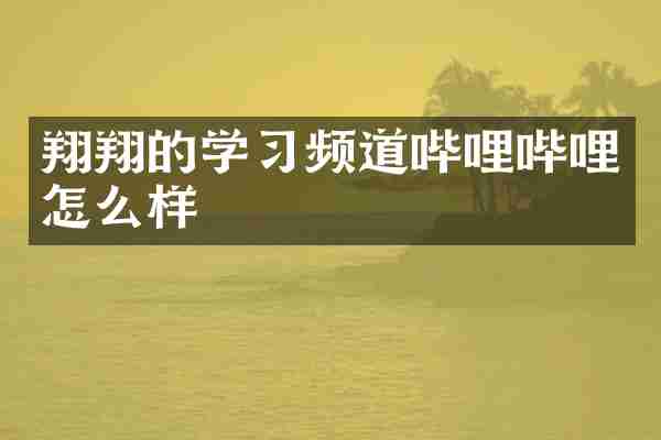 翔翔的学习频道哔哩哔哩怎么样