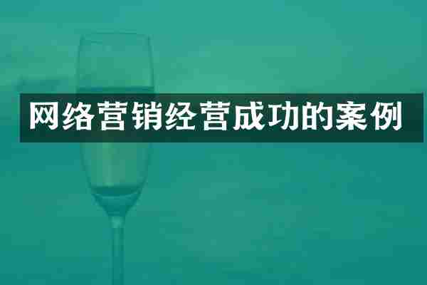 网络营销经营成功的案例