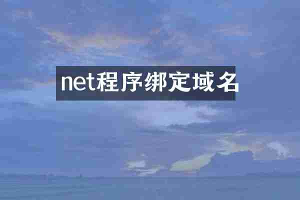 net程序绑定域名