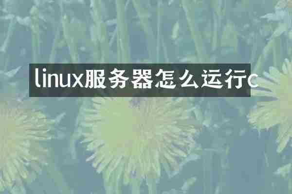 linux服务器怎么运行c