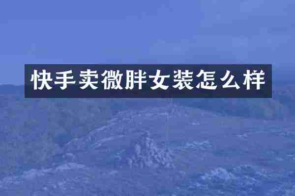 快手卖微胖女装怎么样