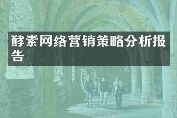 酵素网络营销策略分析报告