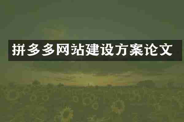 拼多多网站建设方案论文