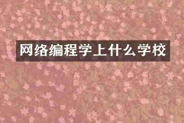 网络编程学上什么学校