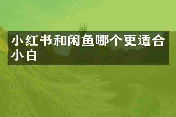 小红书和闲鱼哪个更适合小白