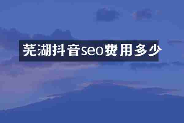 芜湖抖音seo费用多少