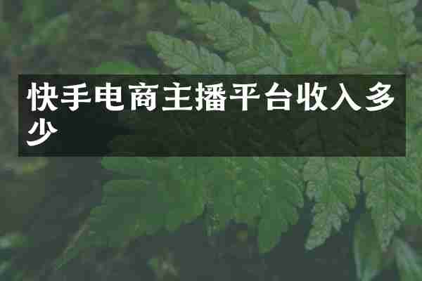 快手电商主播平台收入多少