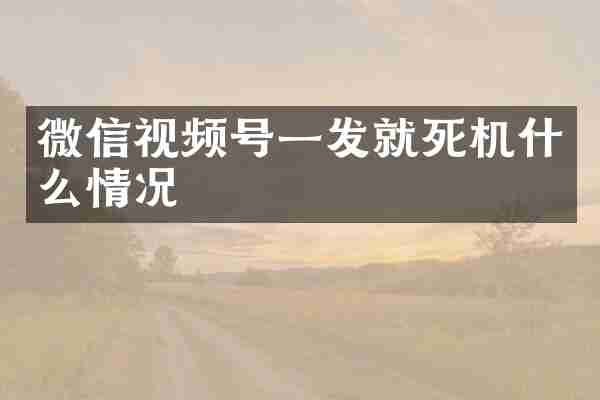 微信视频号一发就死机什么情况