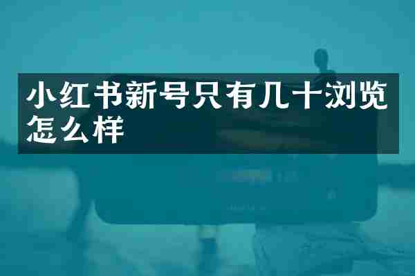 小红书新号只有几十浏览怎么样